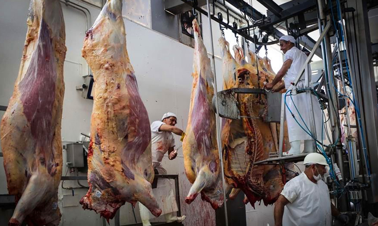 Uruguay exportó más volumen de carne que Argentina: no ocurría desde el 2018